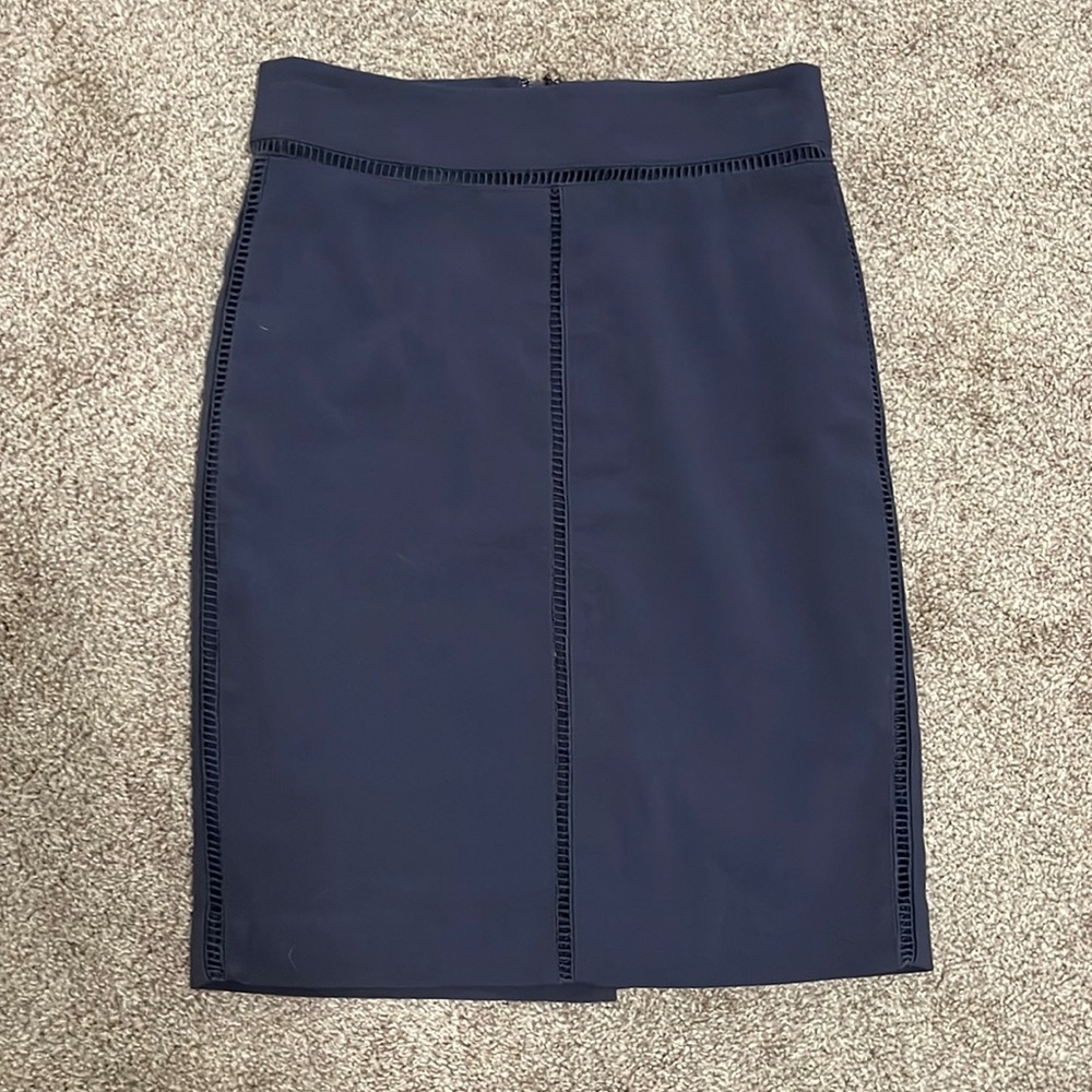 Ann Taylor skirt (size 0P)